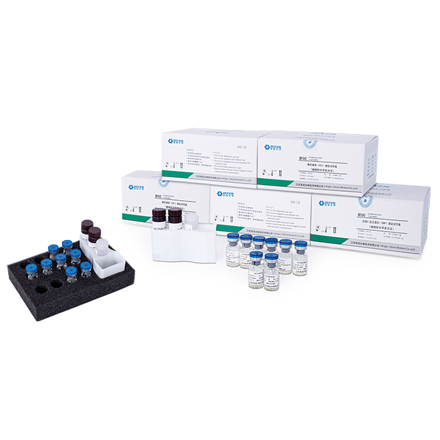FER FERRITIN Magnetic Solid Phase Chemiluminescence Immunoassay