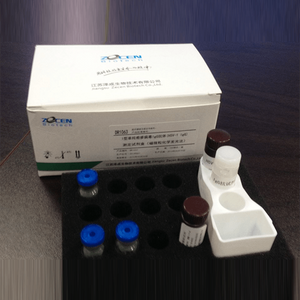 N-terminal Pro-Brain Natriuretic Peptide Diagnostic Test Cardiac Markers NT-proBNP Automated Immunoassay Analyzer